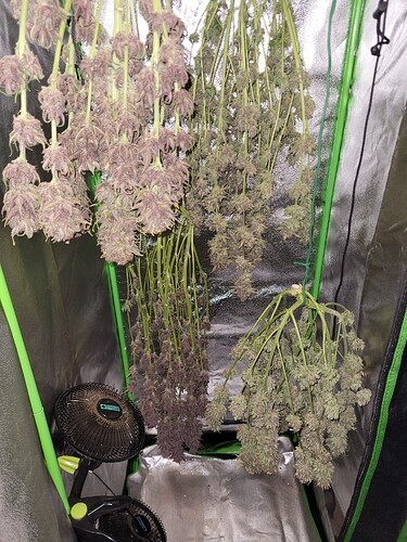 Growreport Bild 7