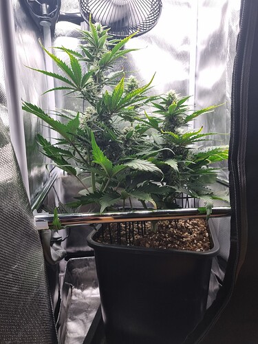 Growreport Bild 7