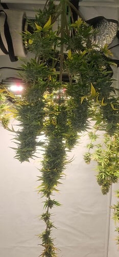 Growreport Bild 9