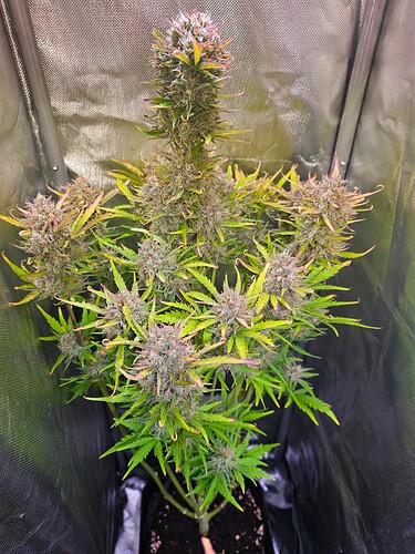 Growreport Bild 21