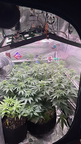 Growreport Bild 23