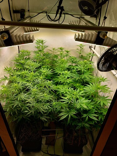 Growreport Bild 12