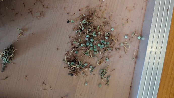 Growreport Bild 4