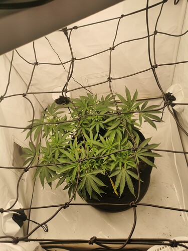 Growreport Bild 10