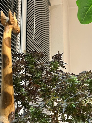 Growreport Bild 7