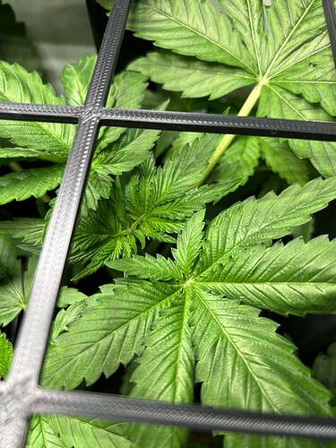 Growreport Bild 12