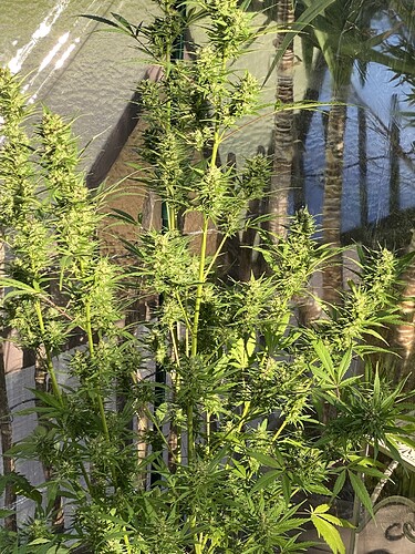 Growreport Bild 2