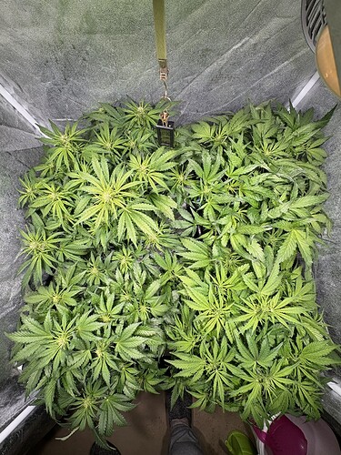 Growreport Bild 1