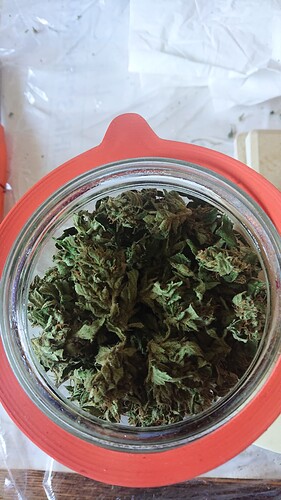 Growreport Bild 34