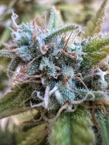 Growreport Bild 2