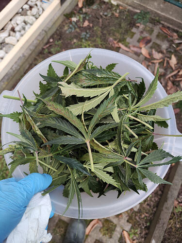 Growreport Bild 7