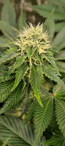 Growreport Bild 9