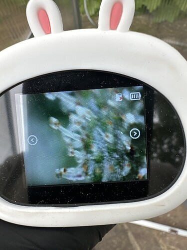 Growreport Bild 43