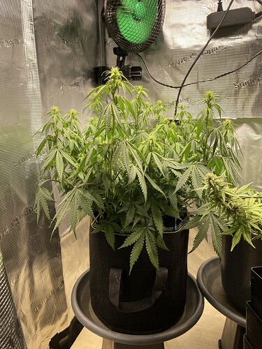 Growreport Bild 15