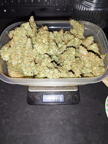 Growreport Bild 2