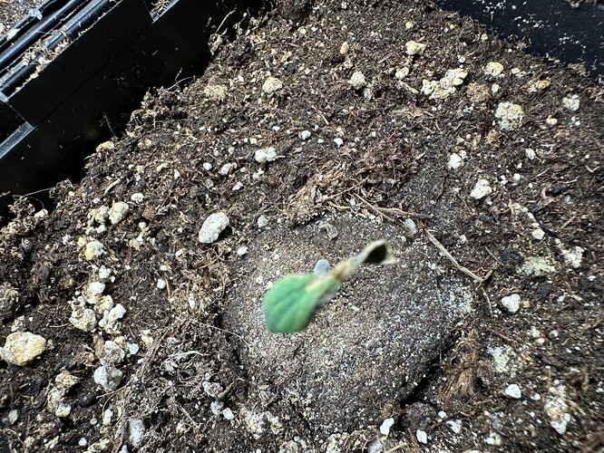 Growreport Bild 25