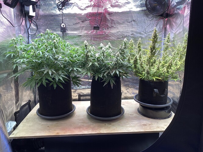 Growreport Bild 16
