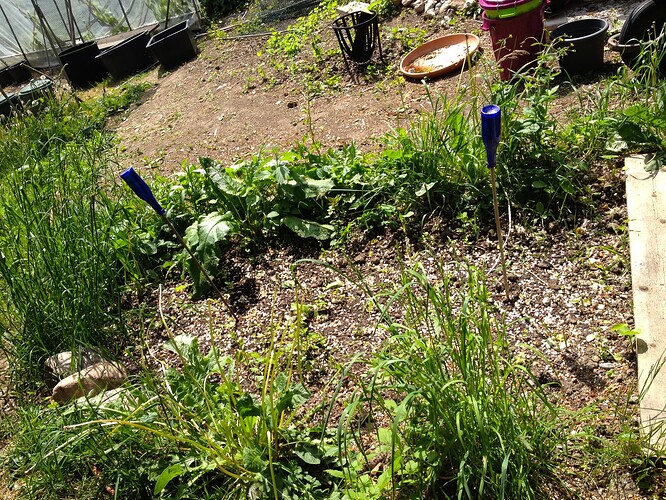 Grow25_0524_05