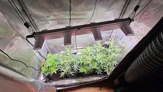 Growreport Bild 24
