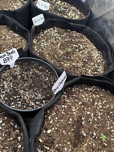 Growreport Bild 26