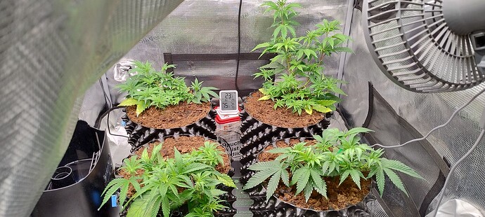 IMG_20251003_090320432_HDR