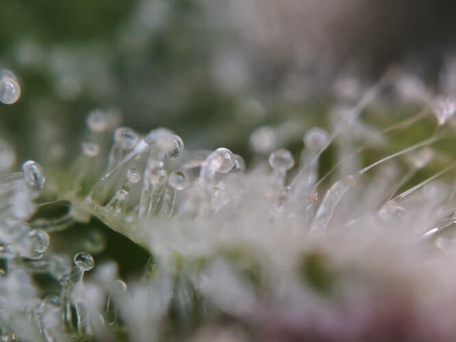 MVIMG_20251126_181842