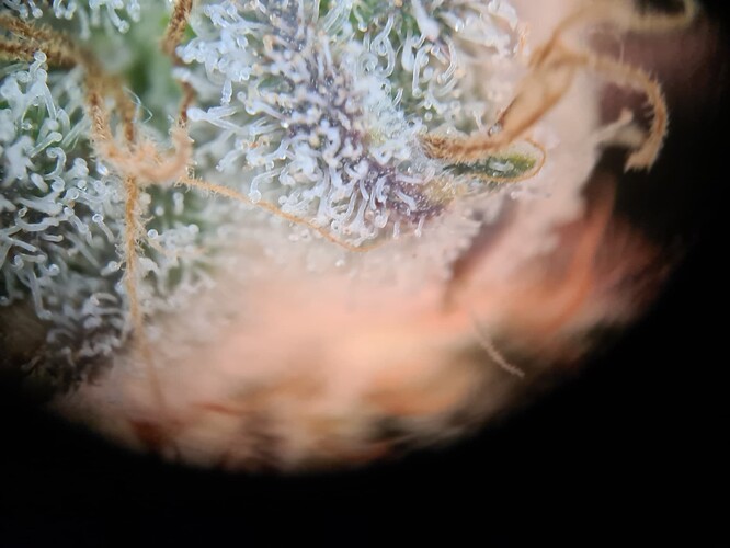 Growreport Bild 22