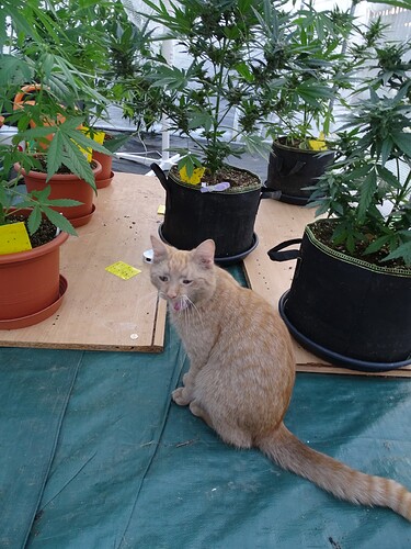 Growreport Bild 1