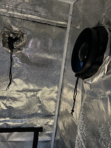 Growreport Bild 3