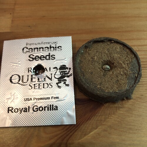 Growreport Bild 11