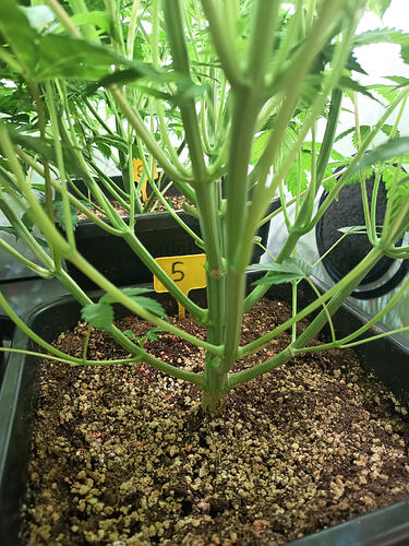 Growreport Bild 9
