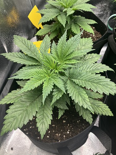 Growreport Bild 22