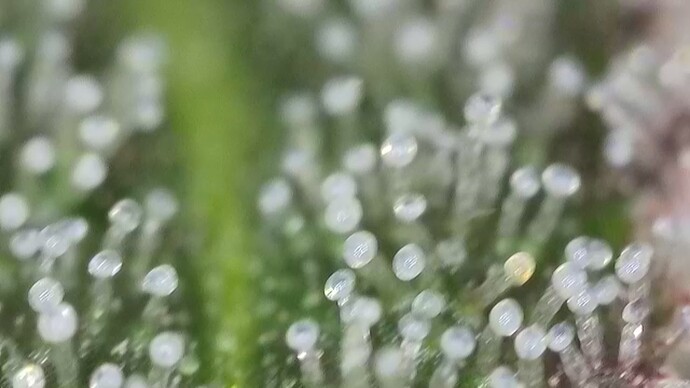 Growreport Bild 14