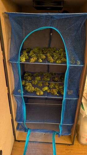 Growreport Bild 65