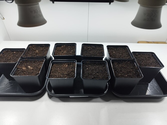 Growreport Bild 1