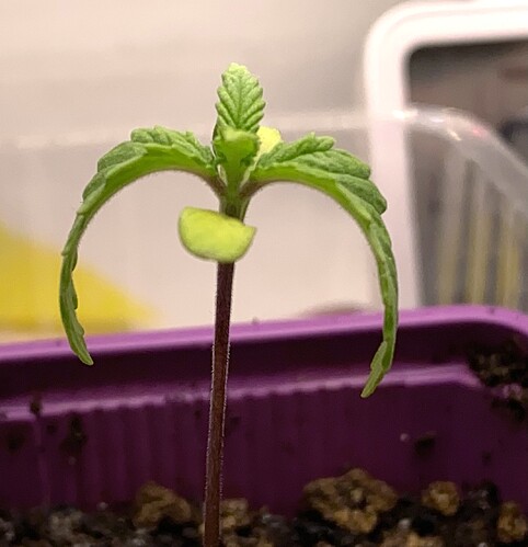 Growreport Bild 26