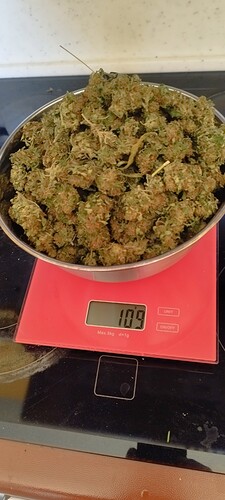 Growreport Bild 10
