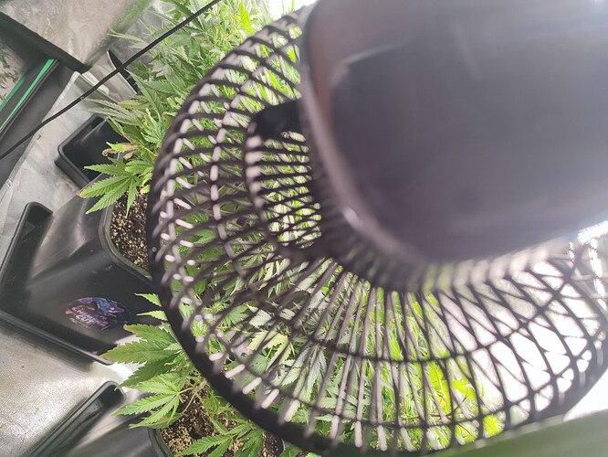 Growreport Bild 34