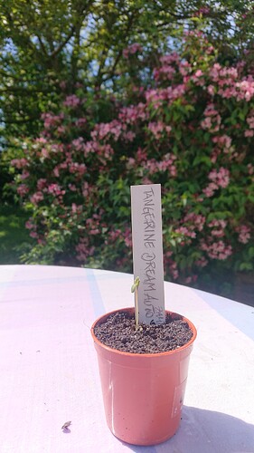 Growreport Bild 13