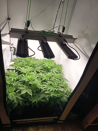 Growreport Bild 8
