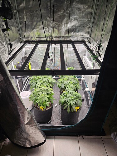 Growreport Bild 36