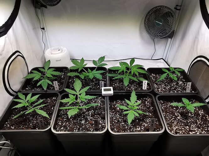 Growreport Bild 13