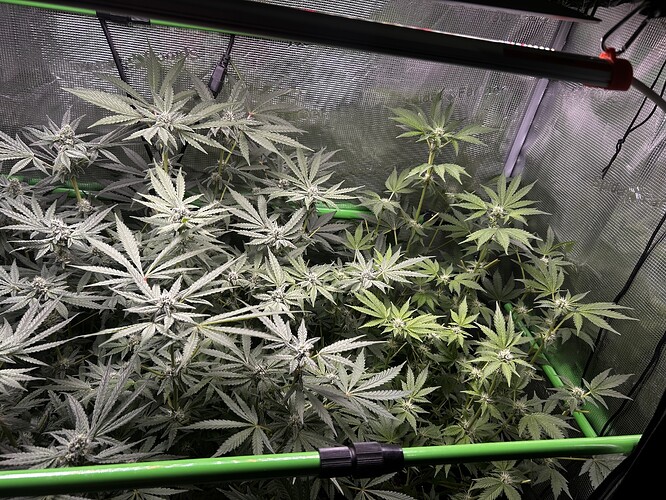 Growreport Bild 21