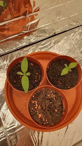 WhatsApp Bild 2024-04-16 um 10.55.37_ff83ded8