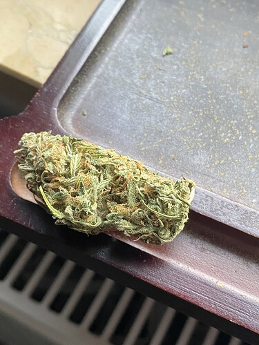 Growreport Bild 42