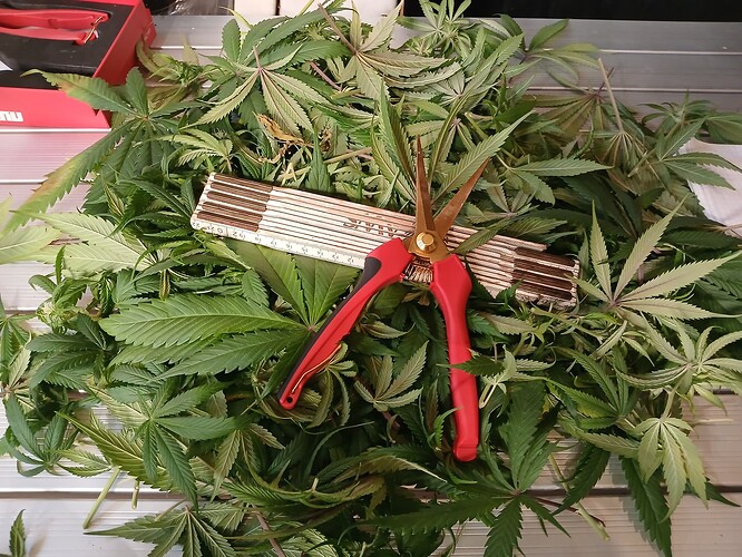 Growreport Bild 23