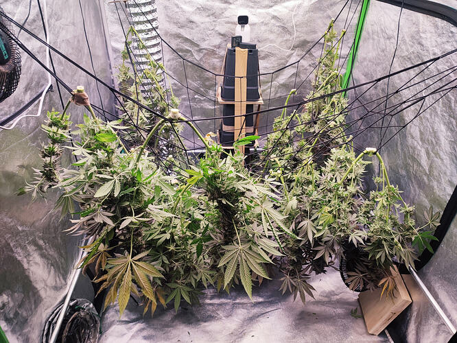 Growreport Bild 80