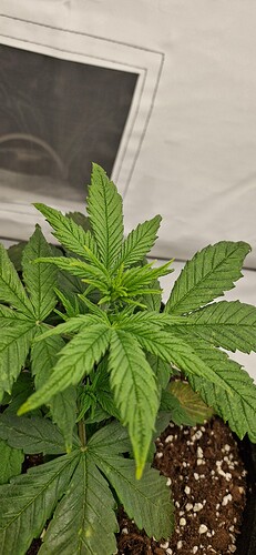 Growreport Bild 16