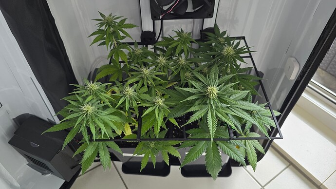 Growreport Bild 13