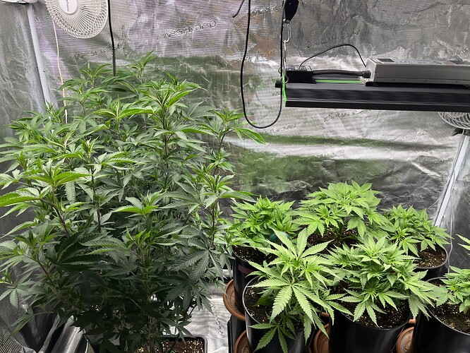 Growreport Bild 7